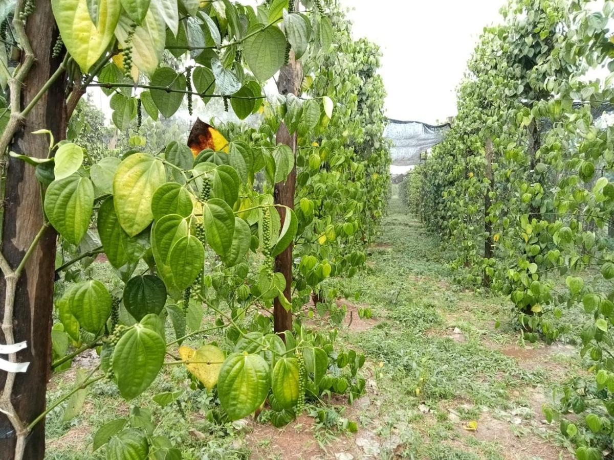 Ratanakiri Farmhouse & Trekking Banlung Экстерьер фото