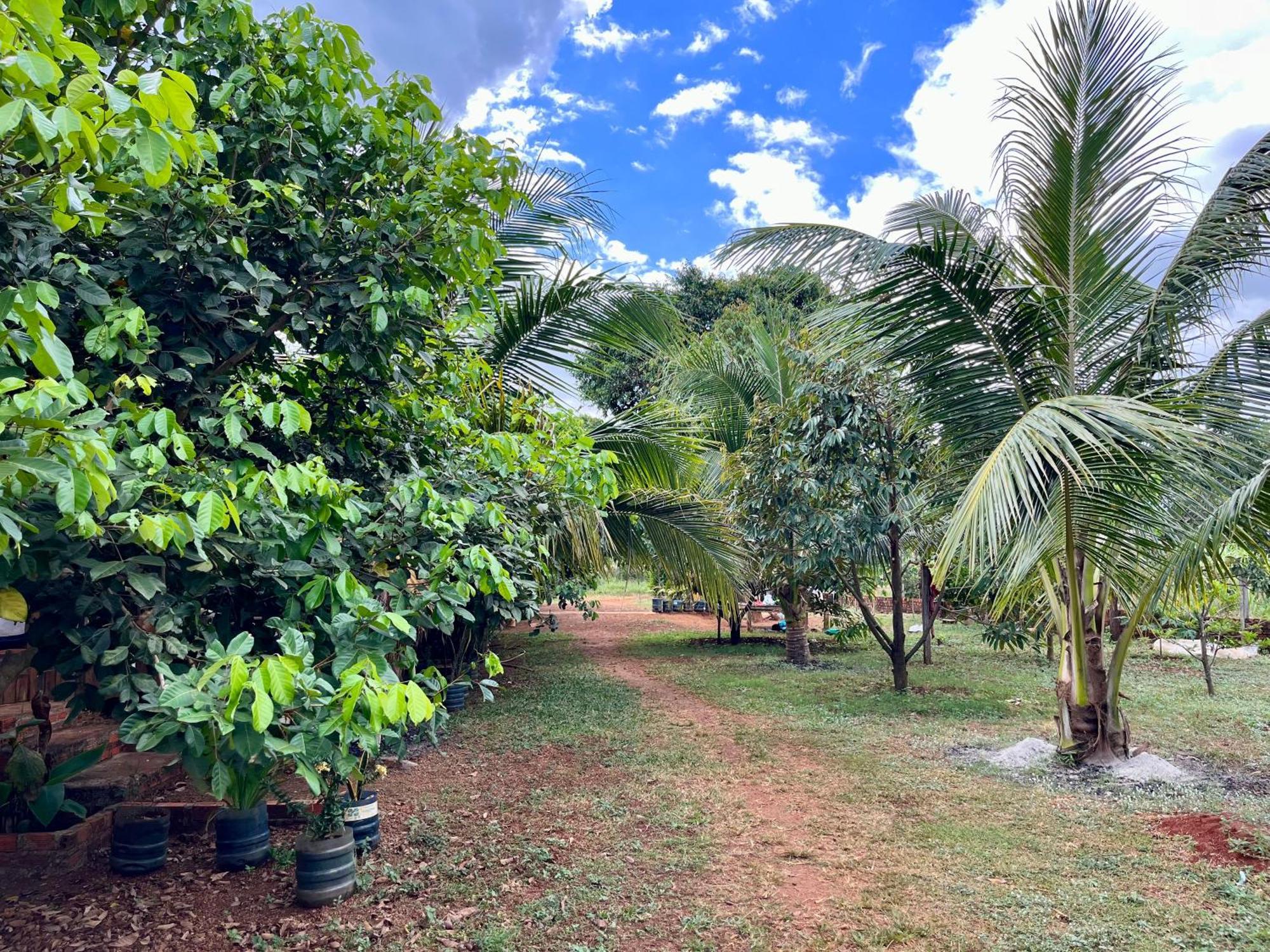 Ratanakiri Farmhouse & Trekking Banlung Экстерьер фото