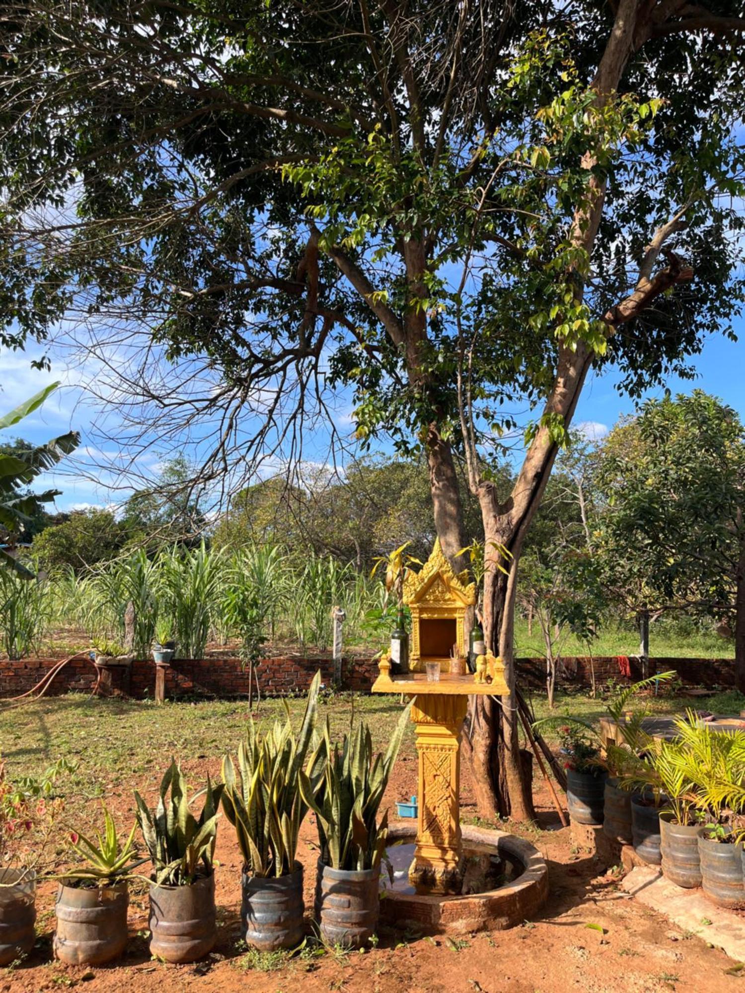 Ratanakiri Farmhouse & Trekking Banlung Экстерьер фото